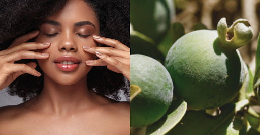 10 Benefits of Cold-pressed Oils: Nature’s Most Luxurious Elixirs for Radiant, Healthy Skin