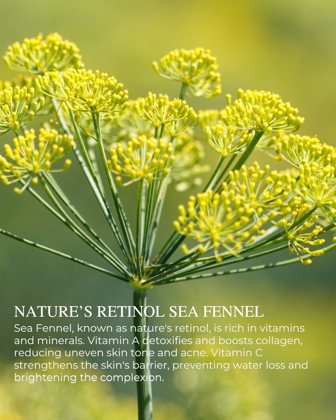 BRIGHT COMPLEXION™ - Ultra Rich Radiance Serum