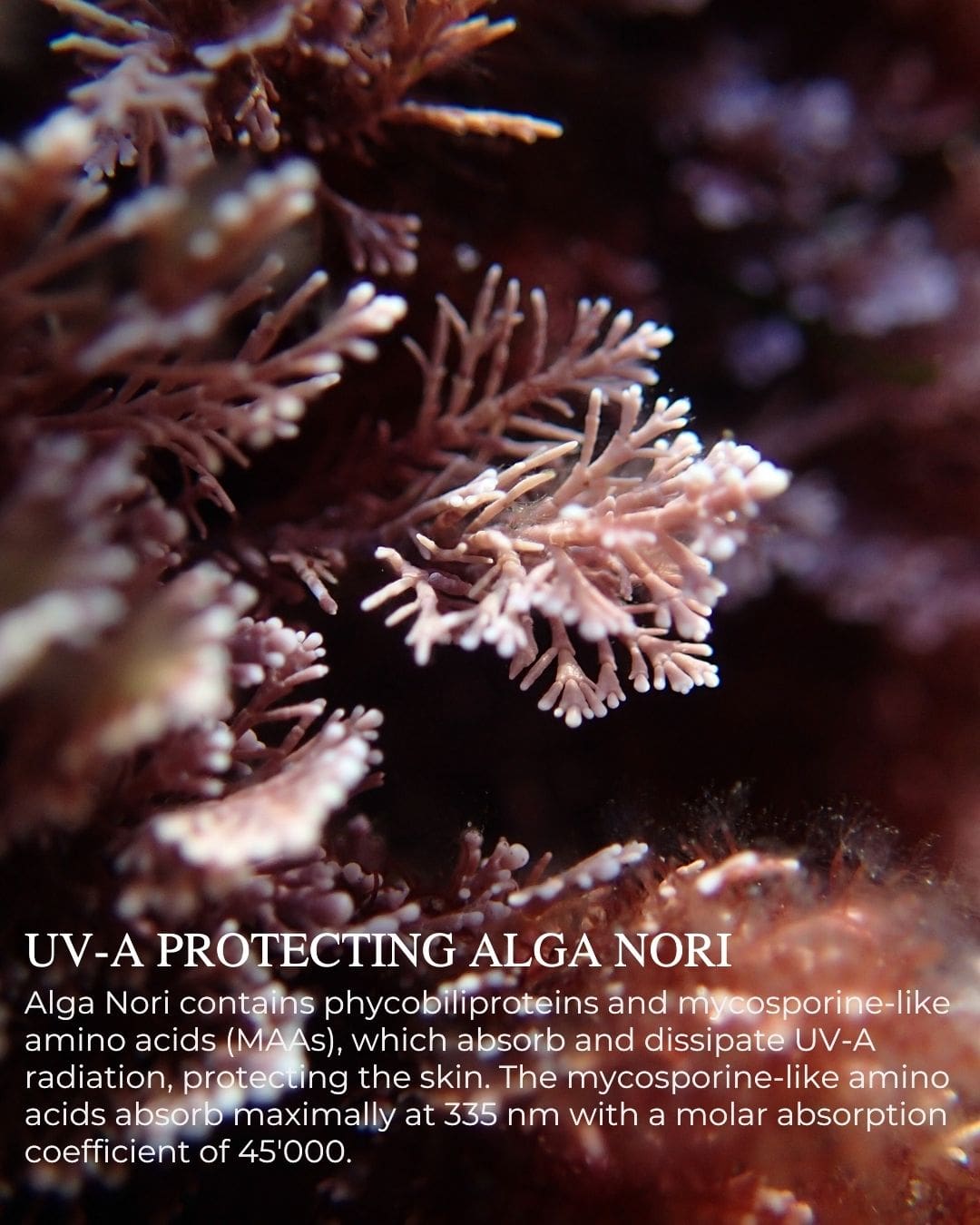 CRÈME DÉFENSE™ - Age Protective Day Cream + UV-A