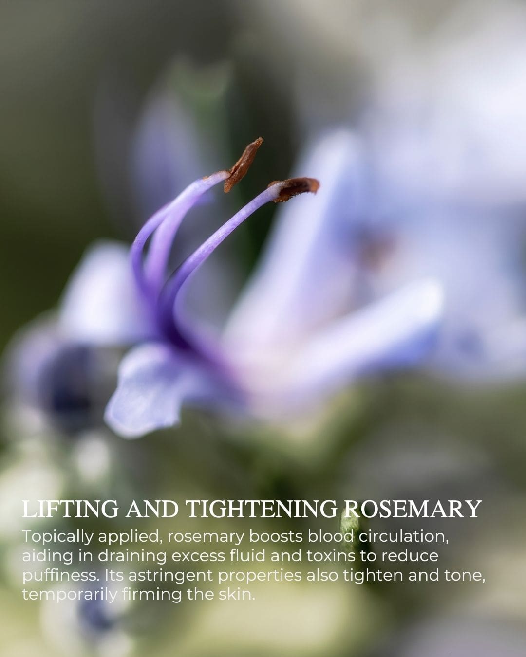 EYE LIFT™ - Firming and Smoothing Eye Cream